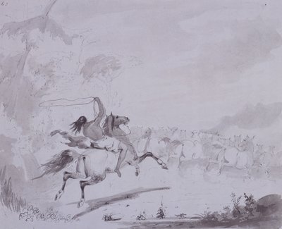 Throwing the Lasso, c.1837 (pero a inkoust s šedou barvou na šedé kartě) od Alfred Jacob Miller