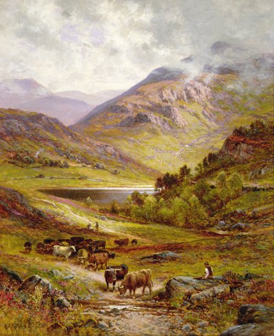 Longhorn dobytek v hornaté krajině od Alfred Jr. Glendening