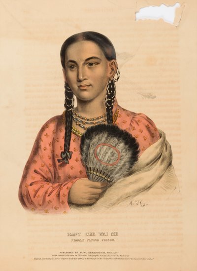 RANT CHE WAI ME. FEMALE FLYING PIGEON., z Dějin indiánských kmenů Severní Ameriky od Alfred M. Hoffy