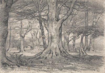 Lesní krajina poblíž Boldrewood od Alfred Parsons