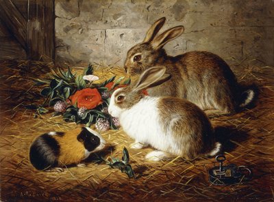 Uteklý: Dva králíci a morče, 1880 od Alfred R. Barber