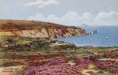 Alum Bay, z Headon Hill, IOW od Alfred Robert Quinton