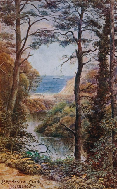 Branksome Chine, Bournemouth od Alfred Robert Quinton