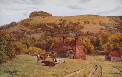 Chanctonbury Ring, Worthing od Alfred Robert Quinton