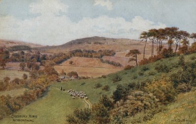 Cissbury Ring poblíž Worthing od Alfred Robert Quinton