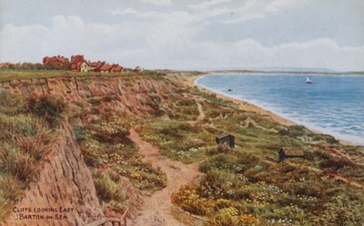 Útesy, pohled na východ, Barton-on-Sea od Alfred Robert Quinton