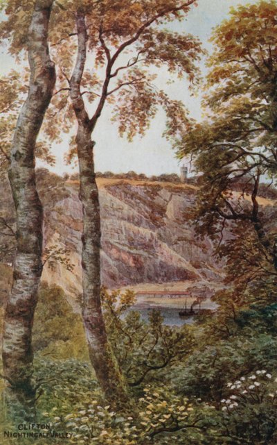 Clifton, Nightingale Valley od Alfred Robert Quinton