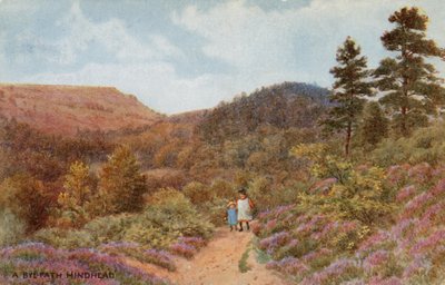 Hindhead od Alfred Robert Quinton