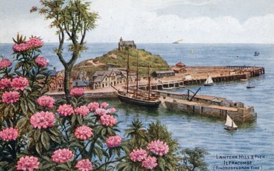 Lantern Hill and Pier, Ilfracombe, (Rhododendron Time) od Alfred Robert Quinton