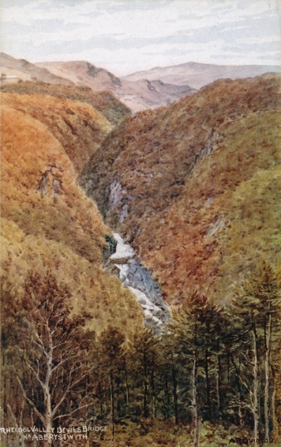 Rheidol Valley, Ďáblův most, Nr. Aberystwyth od Alfred Robert Quinton