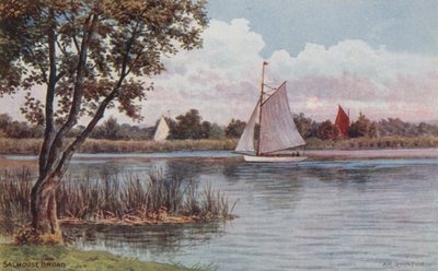 Salhouse Broad od Alfred Robert Quinton