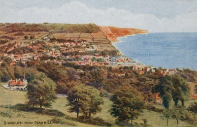 Sidmouth z Peak Hill od Alfred Robert Quinton