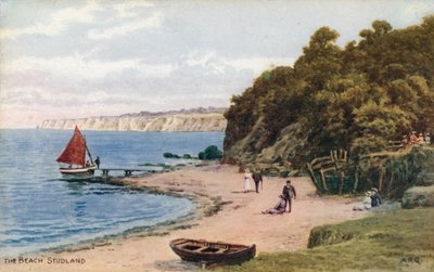 Pláž, Studland od Alfred Robert Quinton