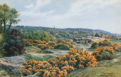 The Common, Tunbridge Wells od Alfred Robert Quinton