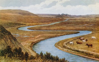 Cuckmere Valley, Seaford od Alfred Robert Quinton