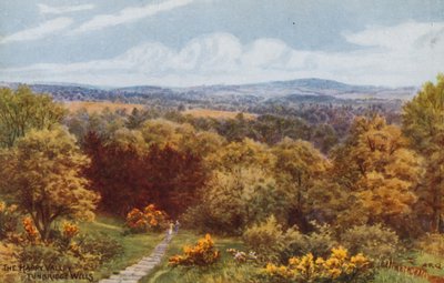 The Happy Valley, Tunbridge Wells od Alfred Robert Quinton