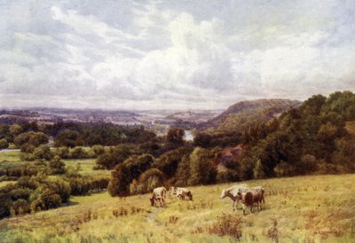 Údolí Temže z Hennerton, Henley od Alfred Robert Quinton