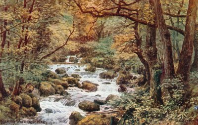 Torrent Walk, Dolgelley od Alfred Robert Quinton