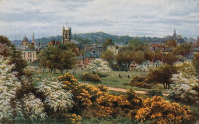 Tunbridge Wells z The Common od Alfred Robert Quinton