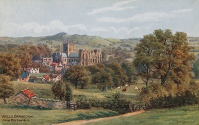 Katedrála ve Wellsu, z Milton Hill od Alfred Robert Quinton