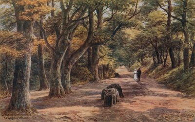 Weston-Super-Mare, Kewstoke Woods od Alfred Robert Quinton