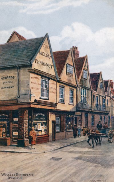 Wolseyho rodiště, Ipswich od Alfred Robert Quinton
