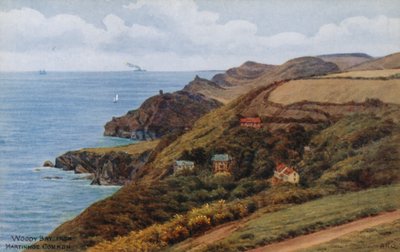 Woody Bay, z Martinhoe Common od Alfred Robert Quinton