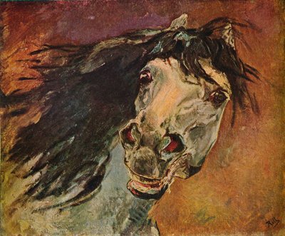 Hlava andaluského koně, c1910 od Alfred Roll