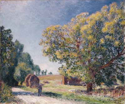 Mýtina v lese, 1895 od Alfred Sisley