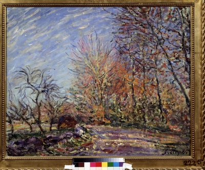 ""A la lisiere de la foret de Fontainebleau"" (Na okraji lesa ve Fontainebleau) Obraz Alfreda Sisleyho (1839-1899) 1855 (impresionismus) Puškinovo muzeum výtvarných umění, Moskva od Alfred Sisley