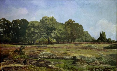 Kaštanová alej v La Celle-Saint Cloud od Alfred Sisley