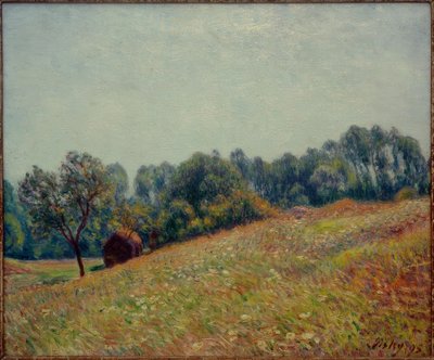Le Vallon od Alfred Sisley
