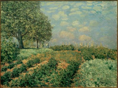 Pole od Alfred Sisley