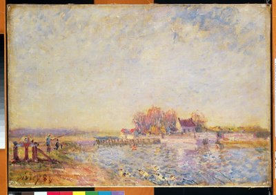 Říční scéna s kachnami, 1881 od Alfred Sisley