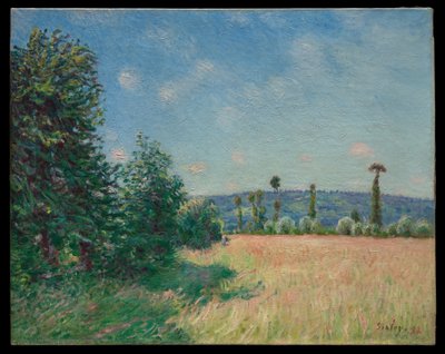 Louky v Sahurs v ranním slunci od Alfred Sisley