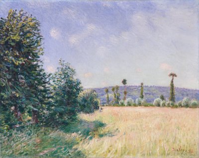Sahurs Meadows v ranním slunci, 1894 od Alfred Sisley