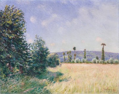 Sahurs Meadows v ranním slunci, 1894. od Alfred Sisley
