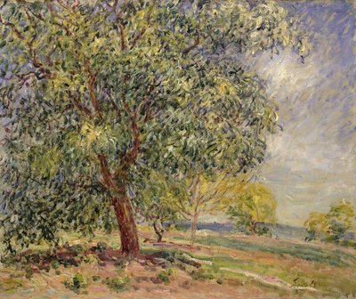Ořešák v Sablons na jaře; Ořešáky v Sablons, jaro, 1885 od Alfred Sisley