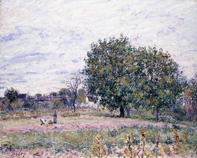 Ořešáky, Efekt zapadajícího slunce - První říjnový den, 1882 od Alfred Sisley
