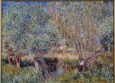 Vrby na břehu řeky Orvanne. Obraz Alfreda Sisleyho (1839 - 1899) od Alfred Sisley