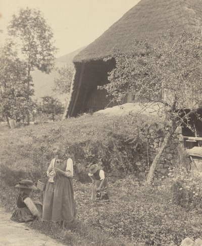 Trochu Gutachu od Alfred Stieglitz