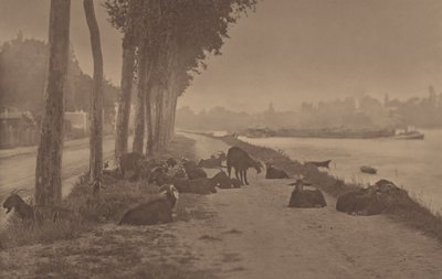  od Alfred Stieglitz