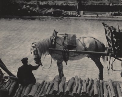 Momentka, Paříž od Alfred Stieglitz