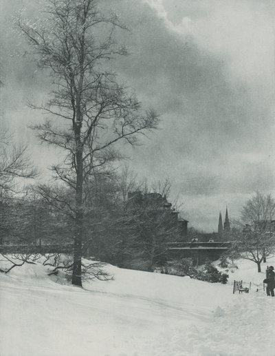 Zimní obloha – Central Park od Alfred Stieglitz