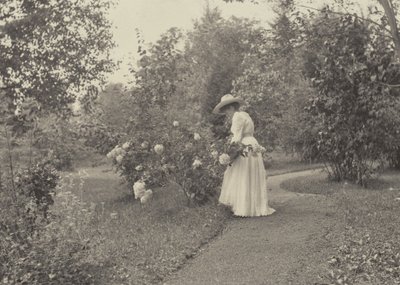 V Oaklawnu od Alfred Stieglitz