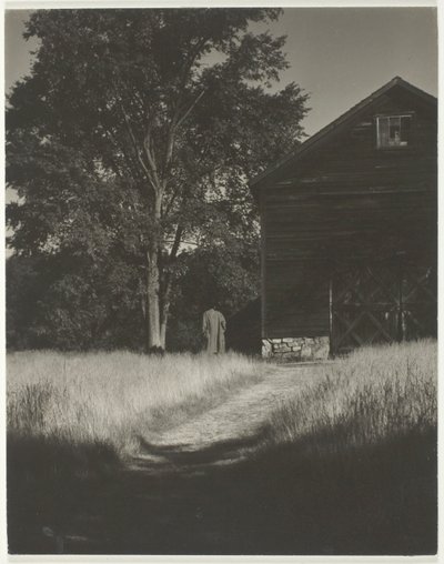 Stodola, Lake George od Alfred Stieglitz