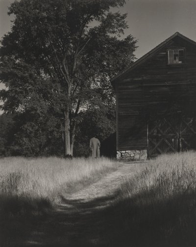 Stodola, Lake George od Alfred Stieglitz