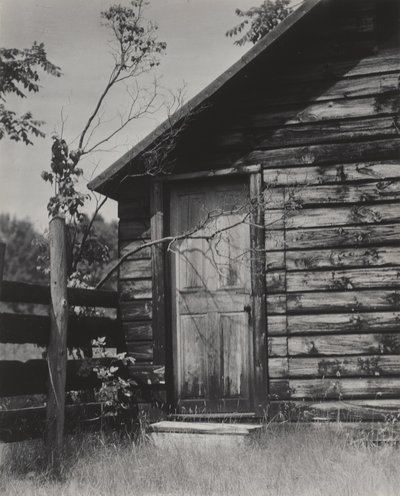  od Alfred Stieglitz