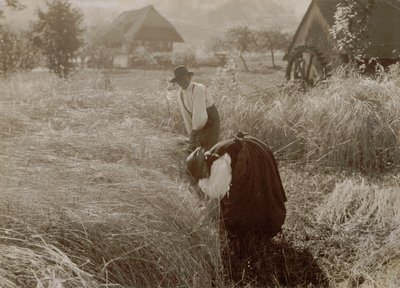 Brzy ráno od Alfred Stieglitz