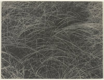 Ekvivalent od Alfred Stieglitz